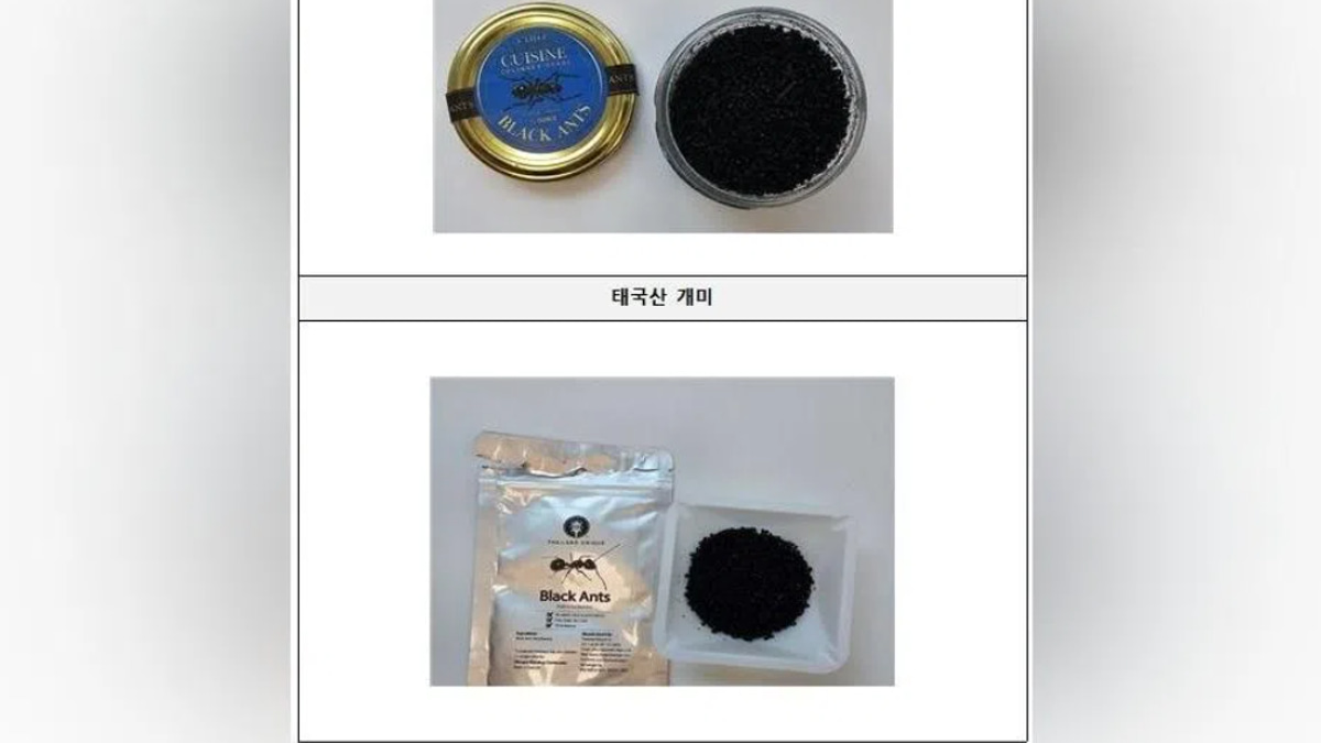 South Korea's Michelin-Starred Chef Faces Prison for Serving Unapproved Black Ants