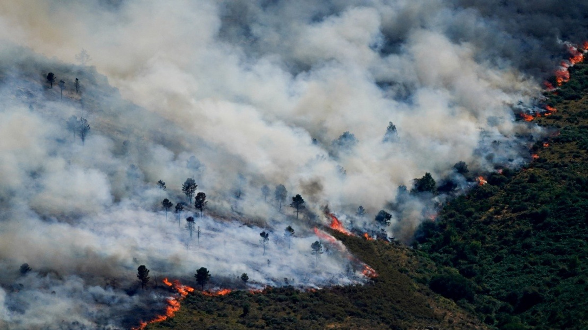 Spain Evacuates Nearly 60,000 as Wildfires Surge Near Madrid