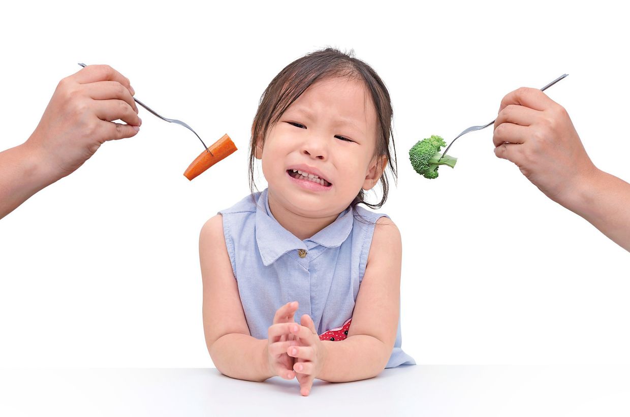 When Your Child Won't Eat: A Doctor's Guide to Understanding Picky Eating