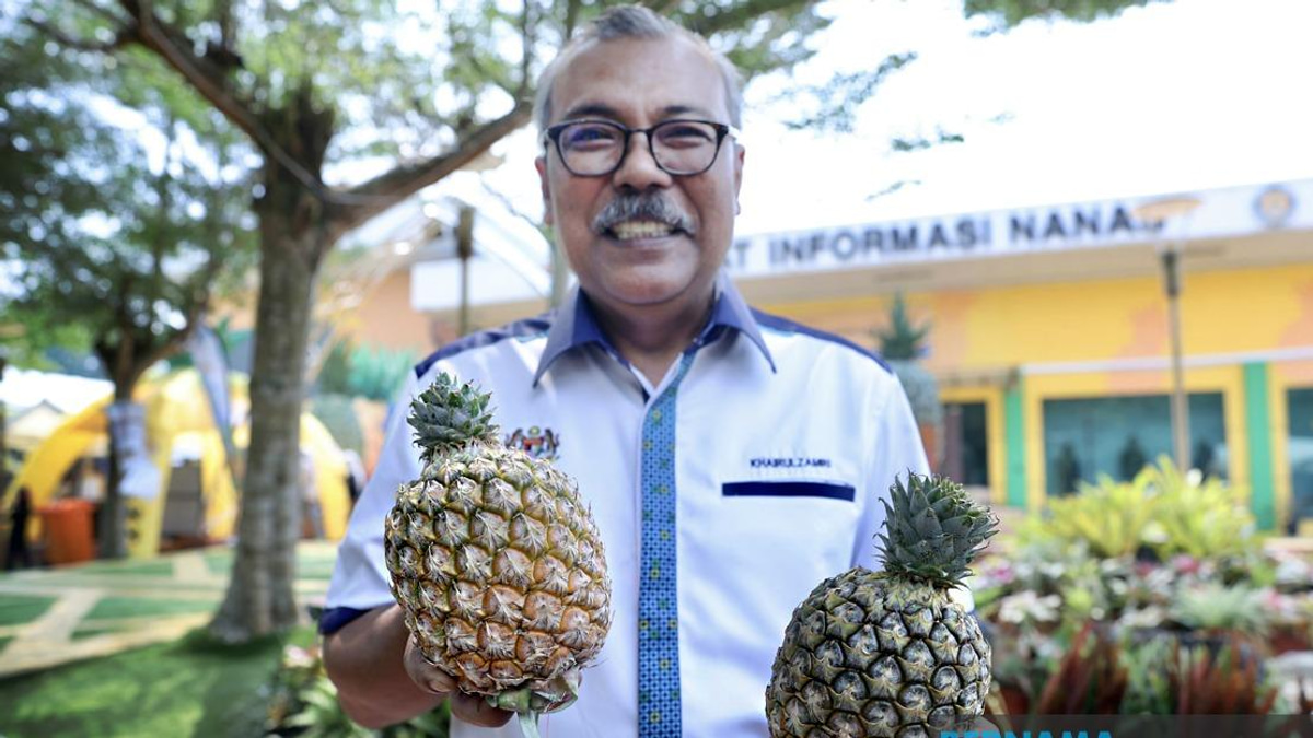 Sarawak Gold Pineapple Variety Shines at MAHA 2026, Eyes Regional Export Markets