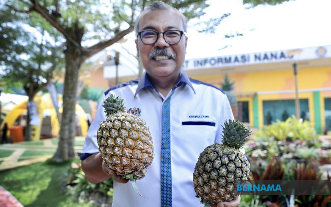 Sarawak Gold Pineapple Variety Shines at MAHA 2026, Eyes Regional Export Markets