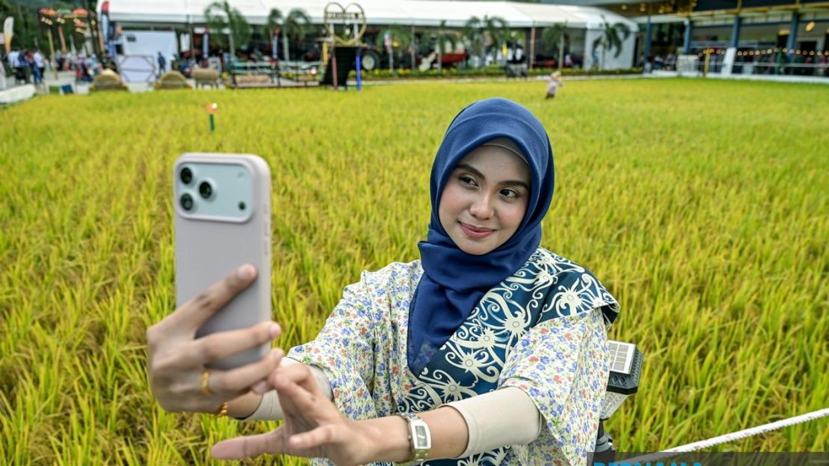 Malaysia Sets Record with Massive Paddy Art at MAHA 2026