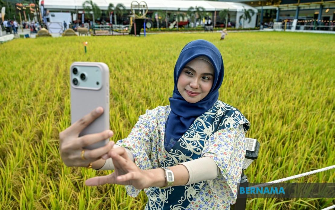 Malaysia Sets Record with Massive Paddy Art at MAHA 2026