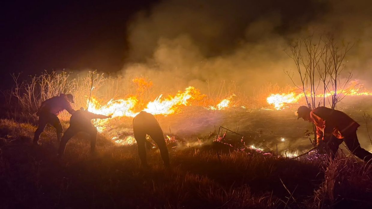 Mount Bromo Wildfire Spreads Rapidly Across 520 Hectares as Strong Winds Drive Flames Through East Java