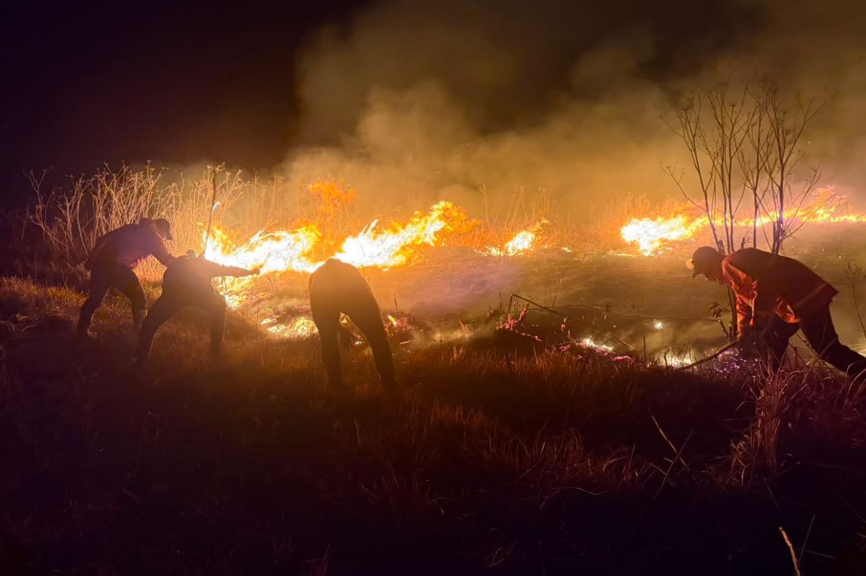 Mount Bromo Wildfire Spreads Rapidly Across 520 Hectares as Strong Winds Drive Flames Through East Java