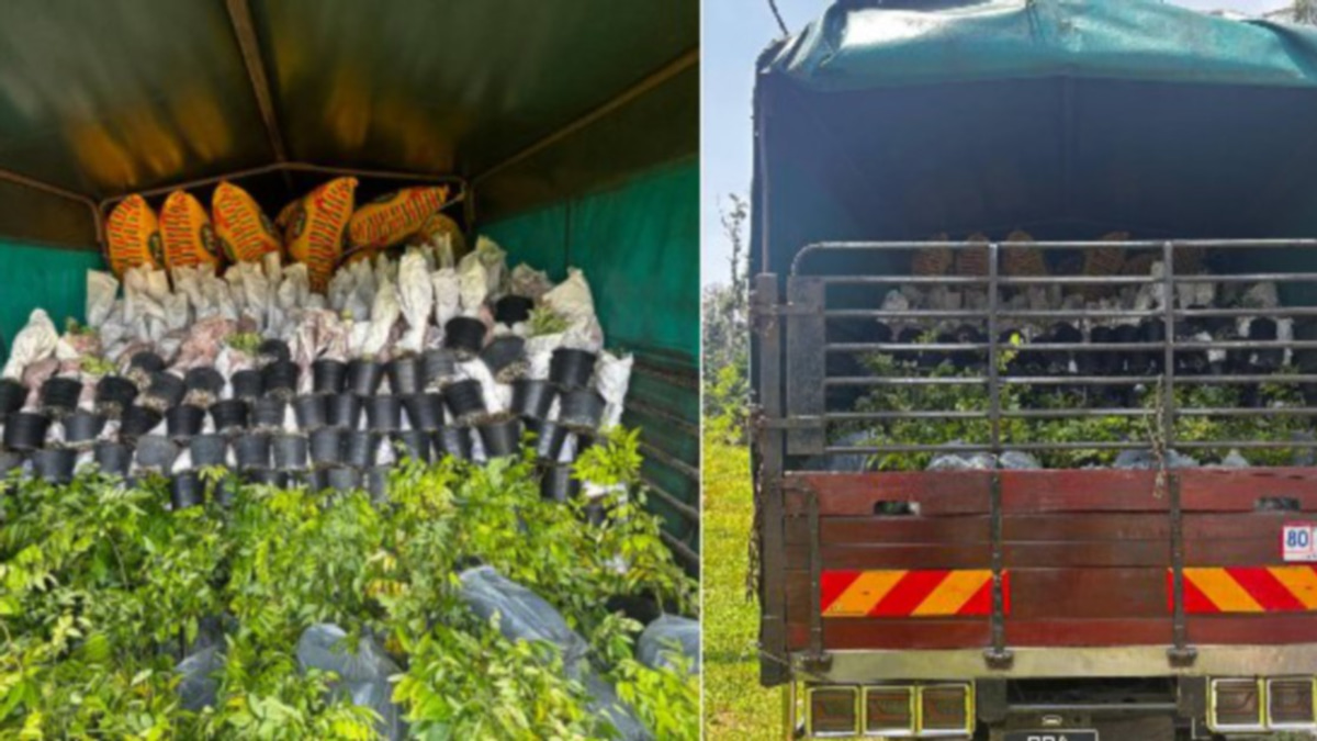 Lorry Driver Detained Over RM200,000 Ornamental Plant Smuggling Haul