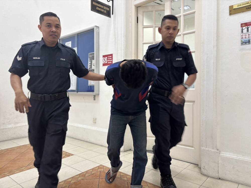 Lorry Driver Faces 21 Charges Over Alleged Sexual Assault of Daughters in Seri Iskandar