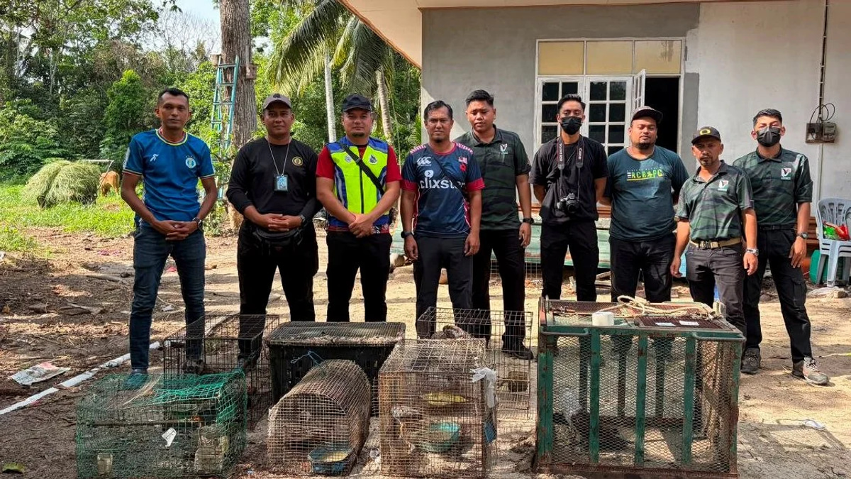 Teen held for trafficking protected animals valued at nearly RM50,000
