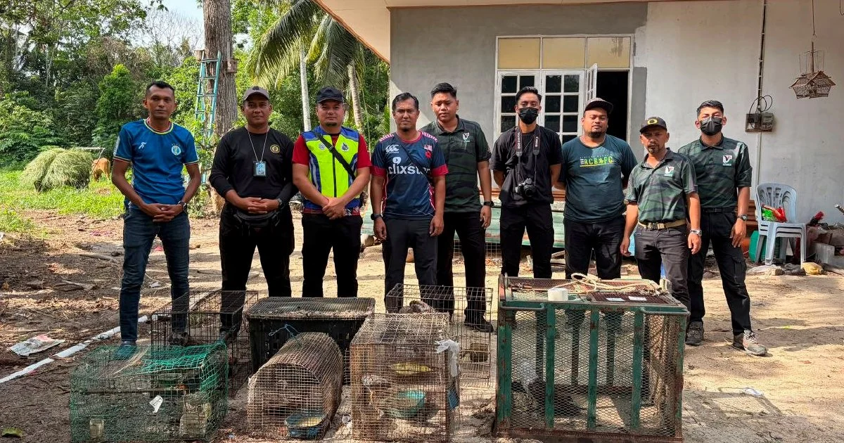 Teen held for trafficking protected animals valued at nearly RM50,000