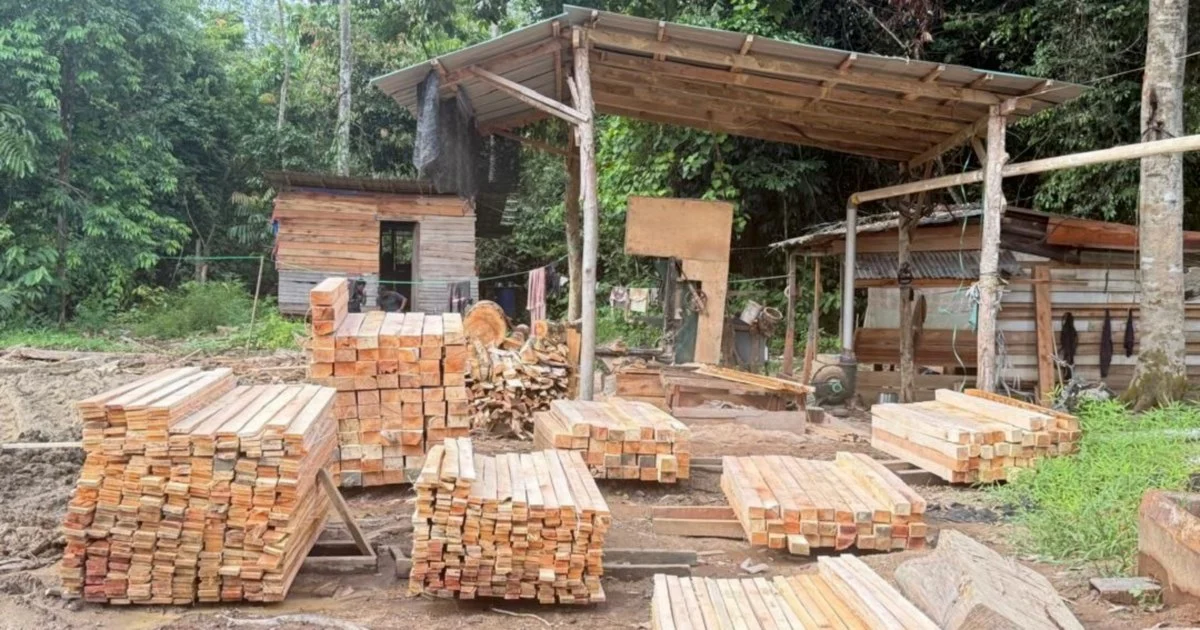 Five arrested as authorities seize RM1.69 million in crackdown on illegal logging operation