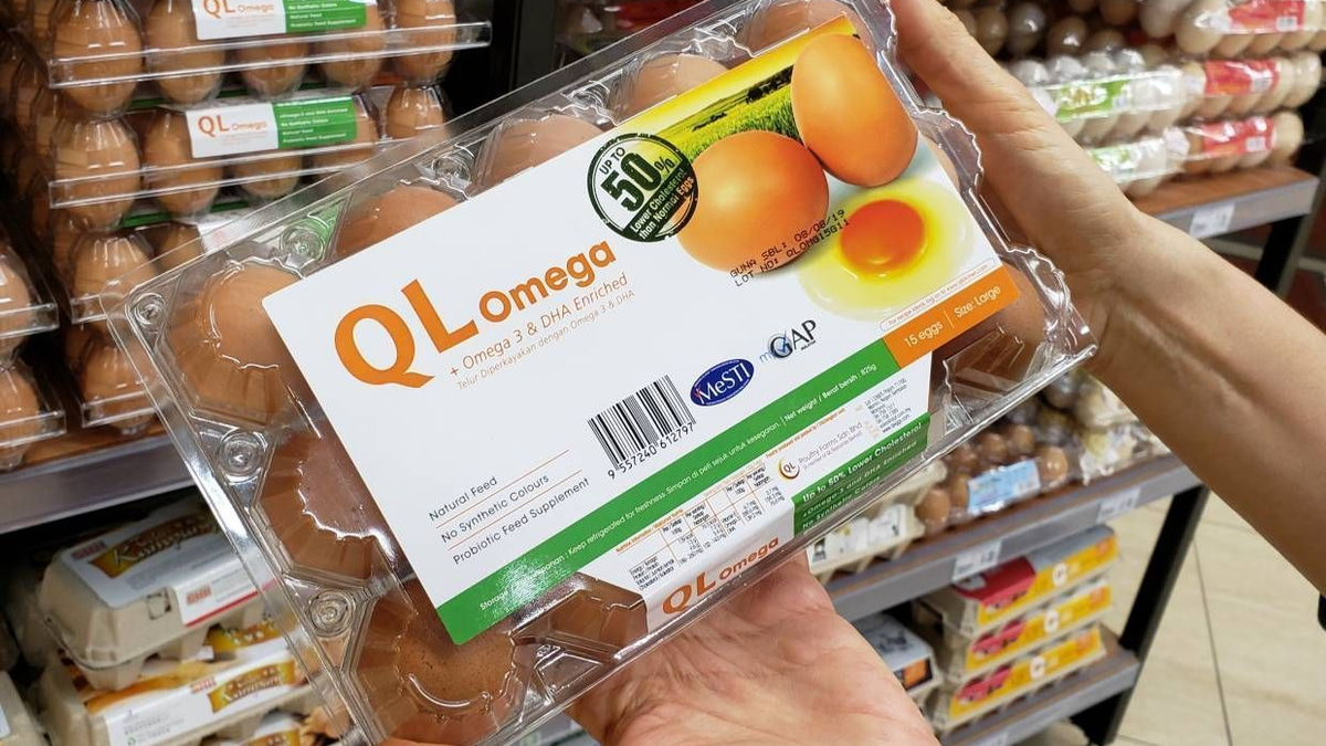 QL Resources Holds Strong Fundamentals Despite Valuation Downgrade