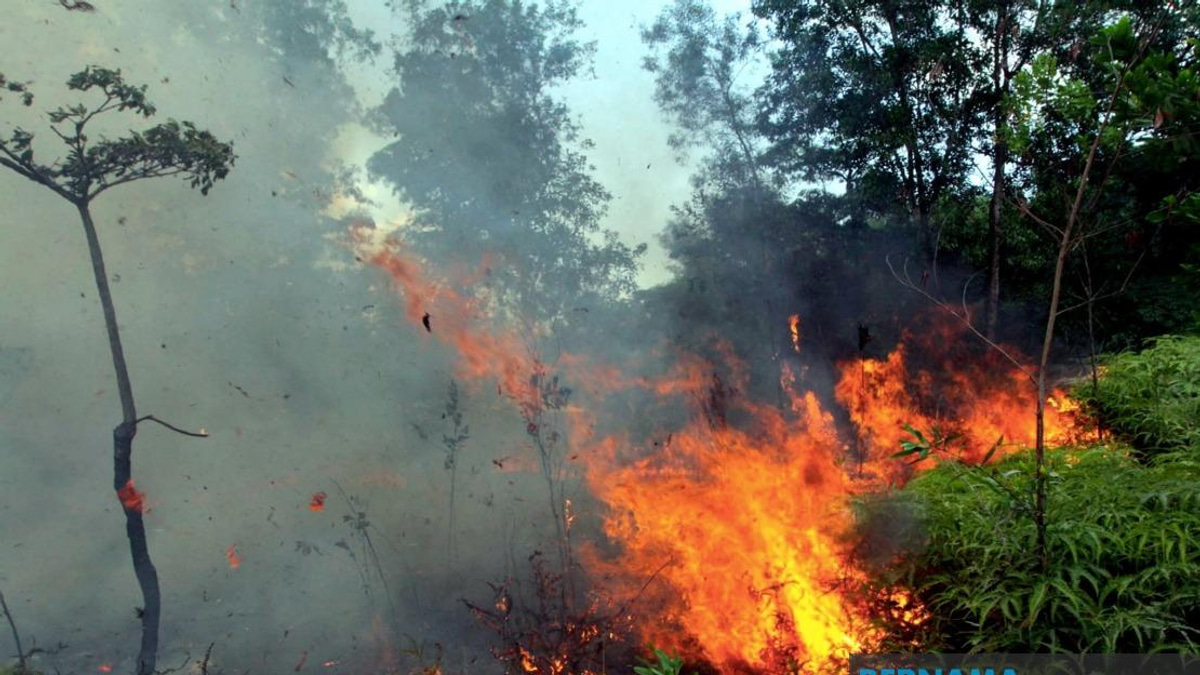 Sabah Authorities Issue Open Burning Alert as Kalimantan Haze Spreads Northward