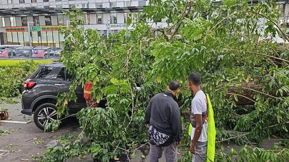Three Family Members Injured as Fallen Tree Crushes Vehicle in Penang