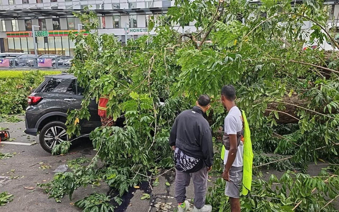 Three Family Members Injured as Fallen Tree Crushes Vehicle in Penang