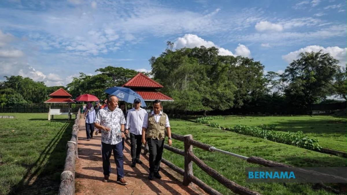 Sabah UMNO Deploys Machinery to Bolster BN Campaign in Johor Polls