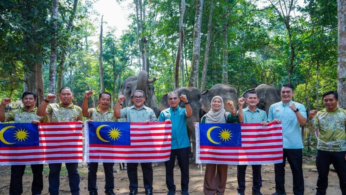 Malaysia's Wildlife Ministry Charts New Path to Ease Human-Elephant Tensions