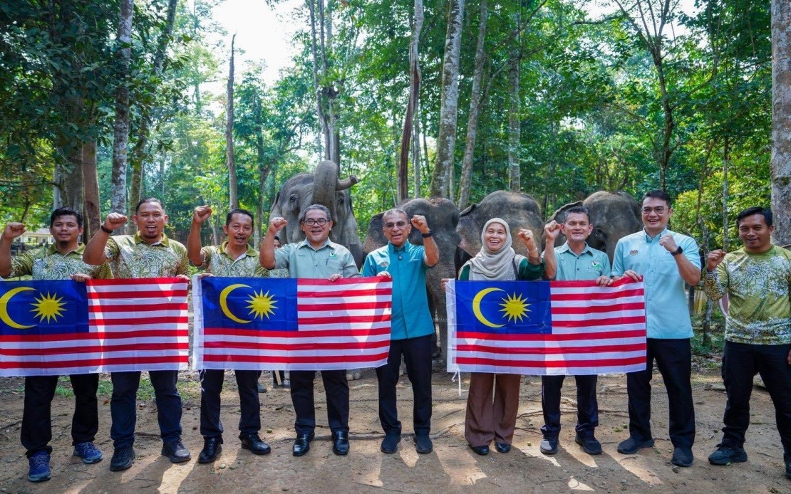 Malaysia's Wildlife Ministry Charts New Path to Ease Human-Elephant Tensions