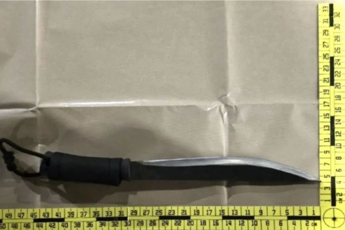 Four arrested in Singapore over abduction and weapon possession linked to car rental dispute