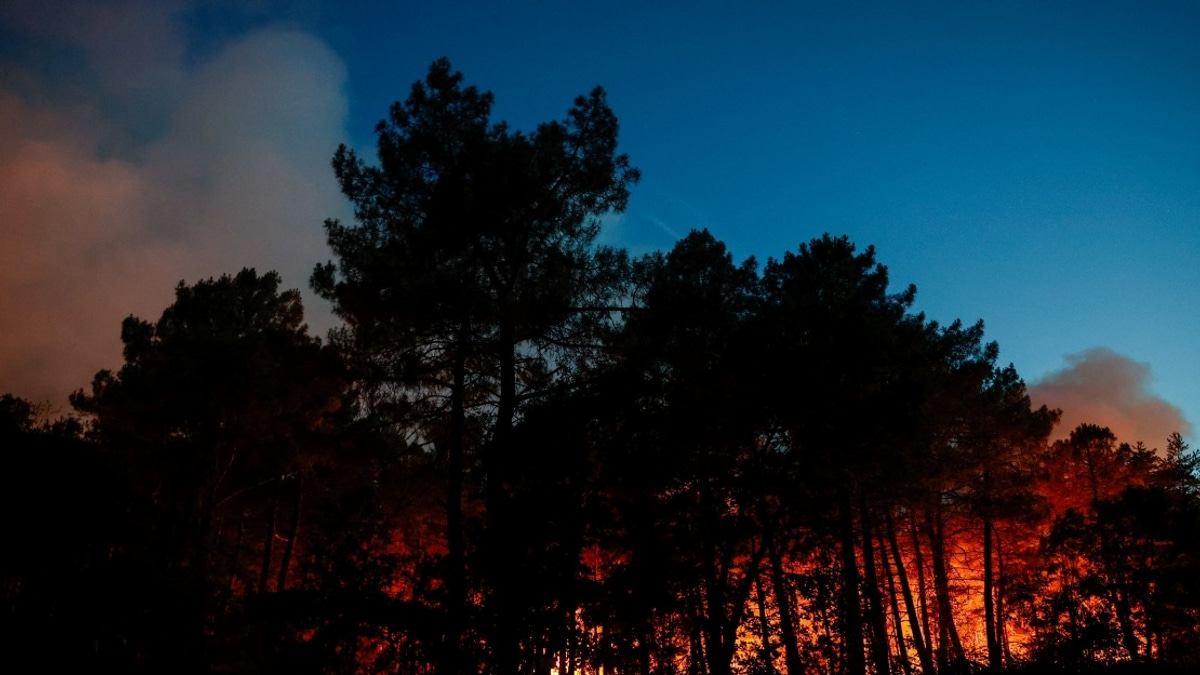 Major Wildfire Engulfs Fontainebleau Forest as France Battles Unprecedented Heat