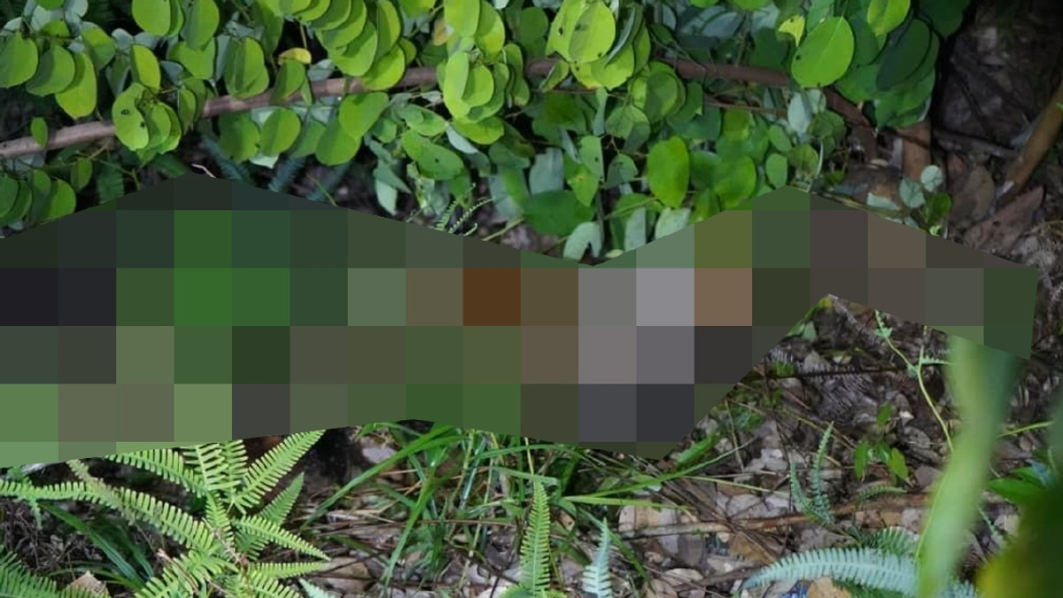Body of Missing Sabah Girl Found; Two Men Arrested Over Murder