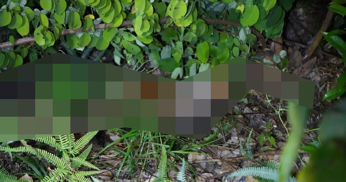 Body of Missing Sabah Girl Found; Two Men Arrested Over Murder