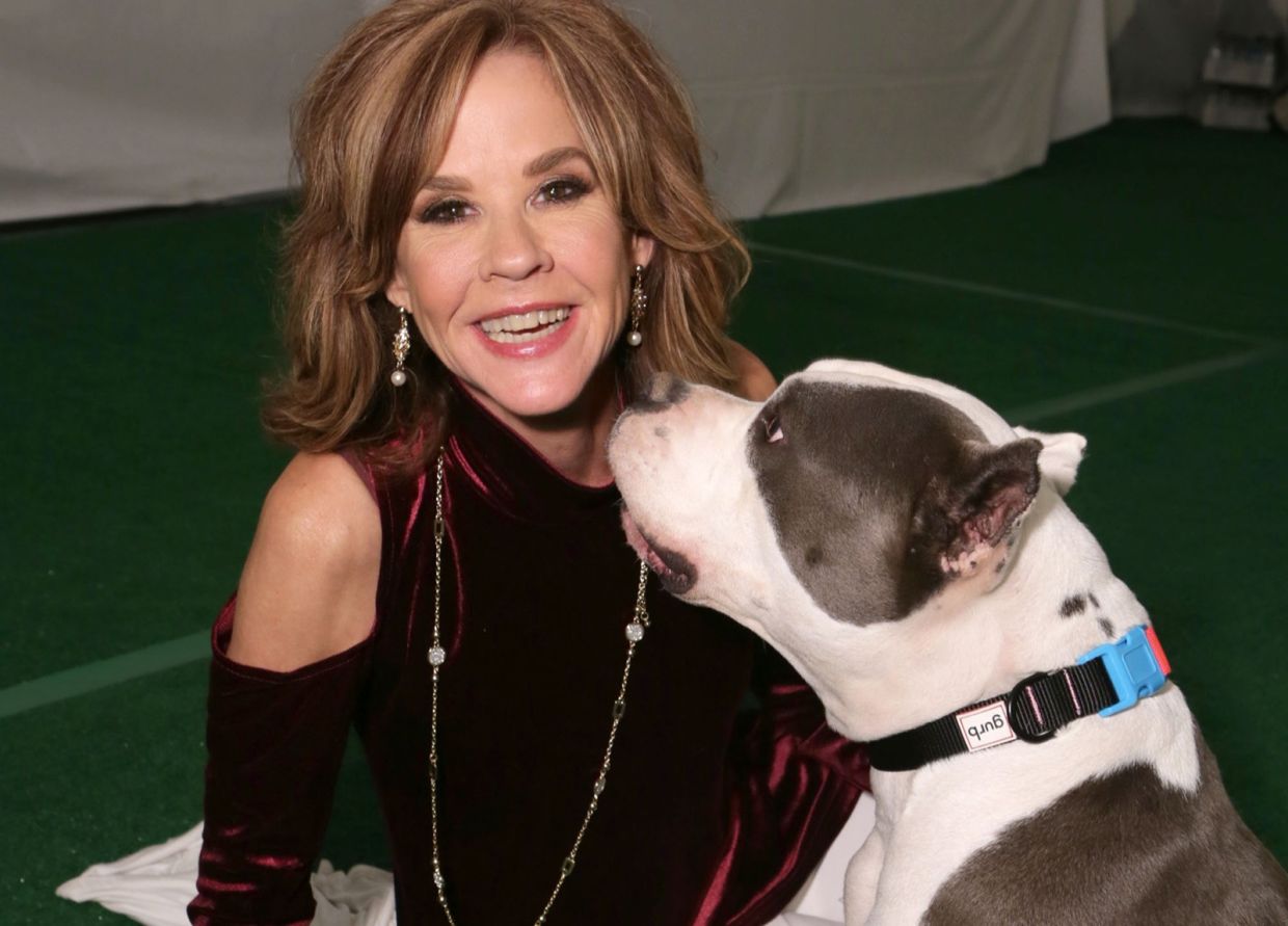 Linda Blair's Southern California property searched over unlicensed dog rescue operation