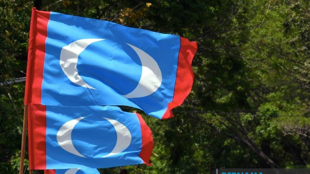 PKR Must Look Inward, Not Blame Voters for Electoral Setbacks, Says Youth Wing