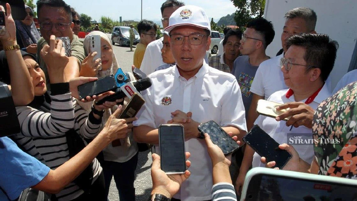 Nga stands by resignation pledge over Najib sentencing concerns