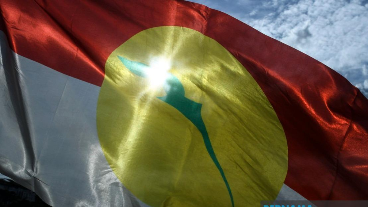 UMNO Members Urged to Prioritise Party Unity Over Nomination Disappointment in Johor Campaign