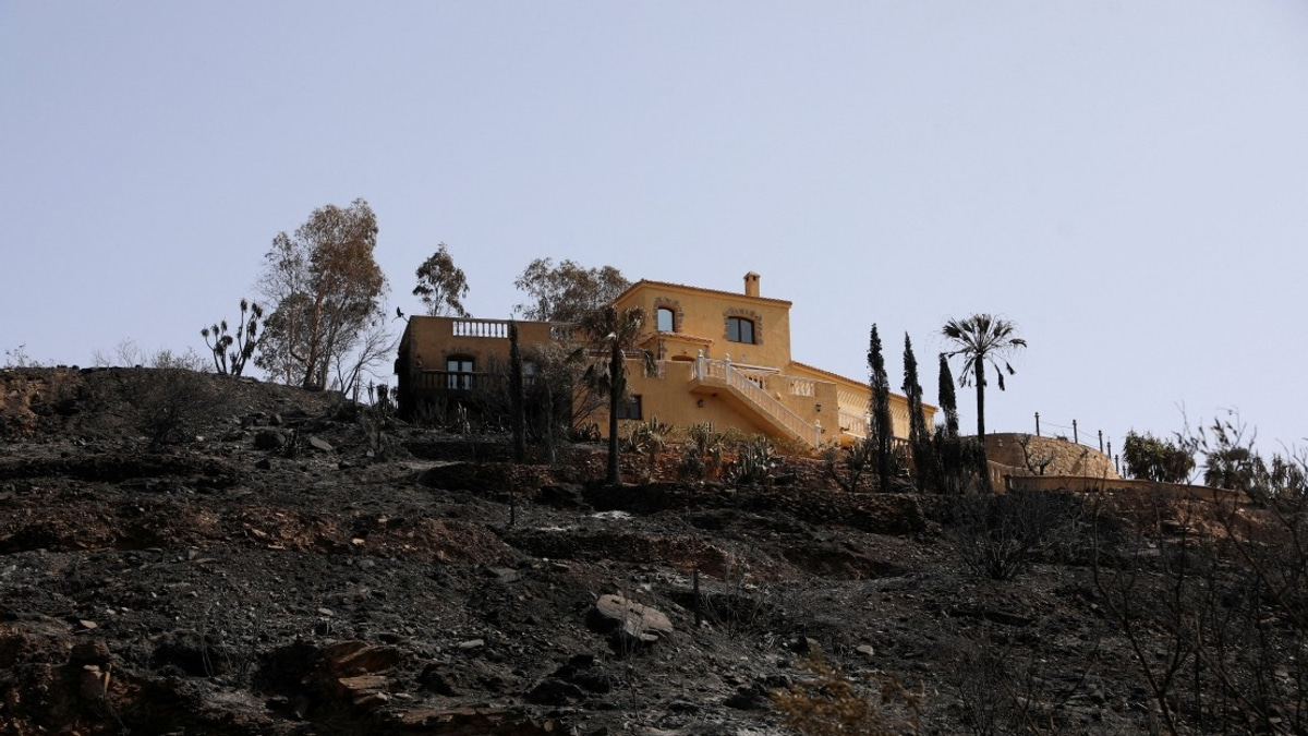 Death Toll From Southern Spain Wildfire Reaches 13 as Blaze Stabilised
