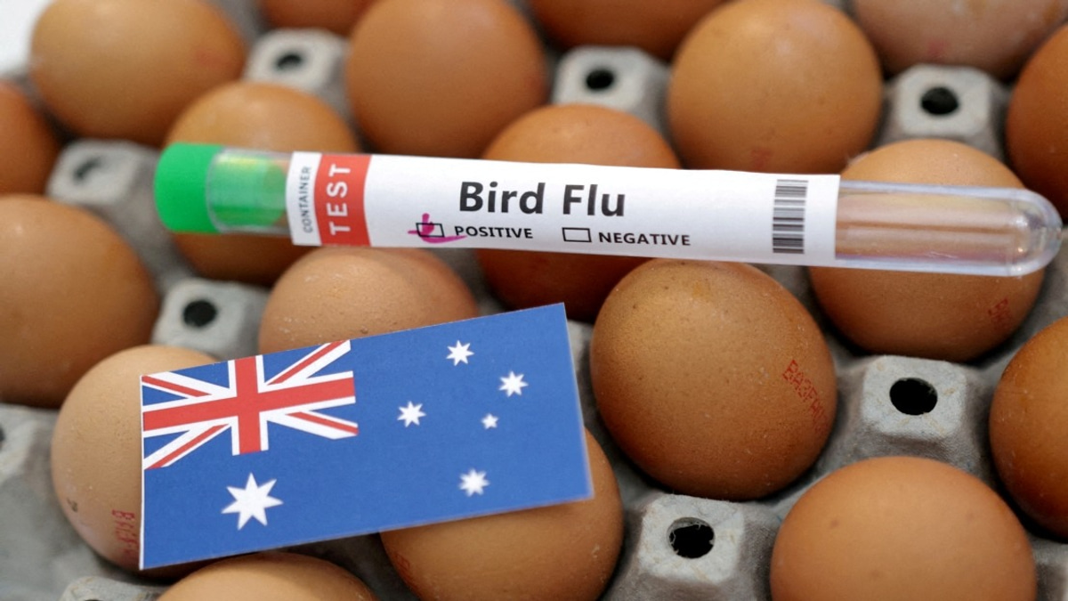 Australia Confirms First H5N1 Case in Local Wildlife, Raising Regional Biosecurity Concerns
