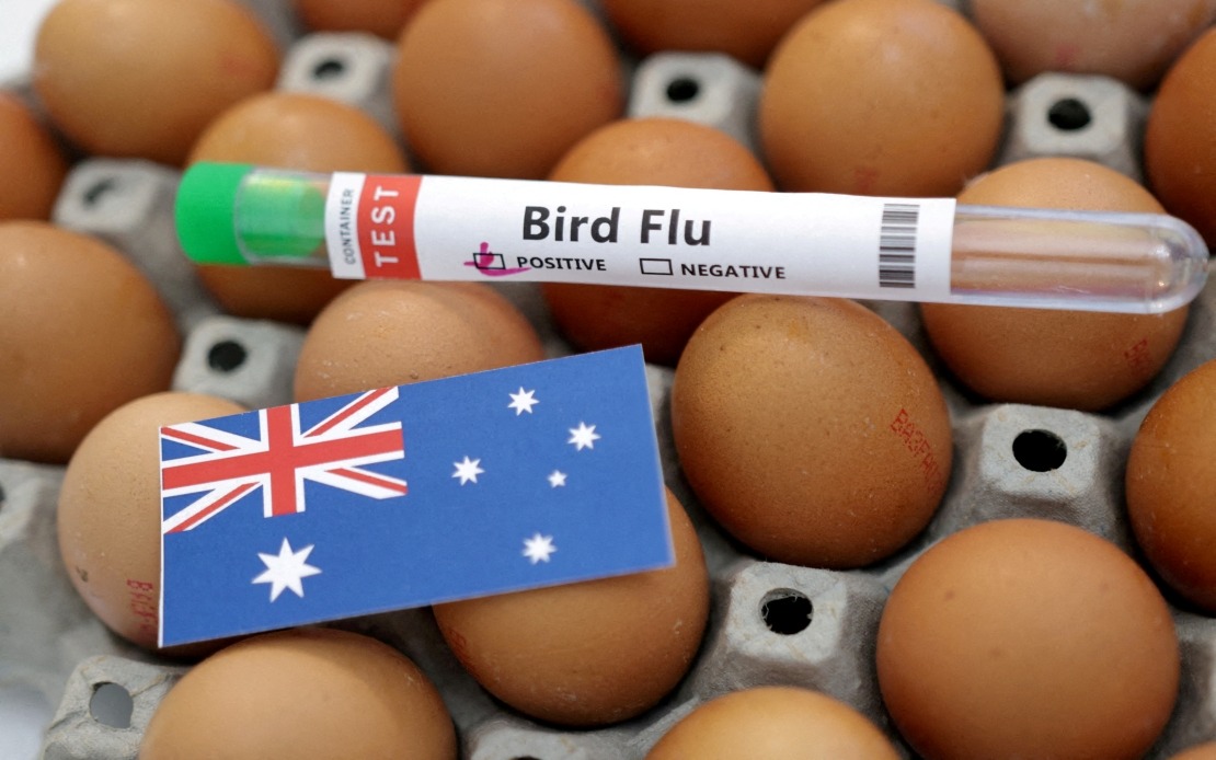 Australia Confirms First H5N1 Case in Local Wildlife, Raising Regional Biosecurity Concerns