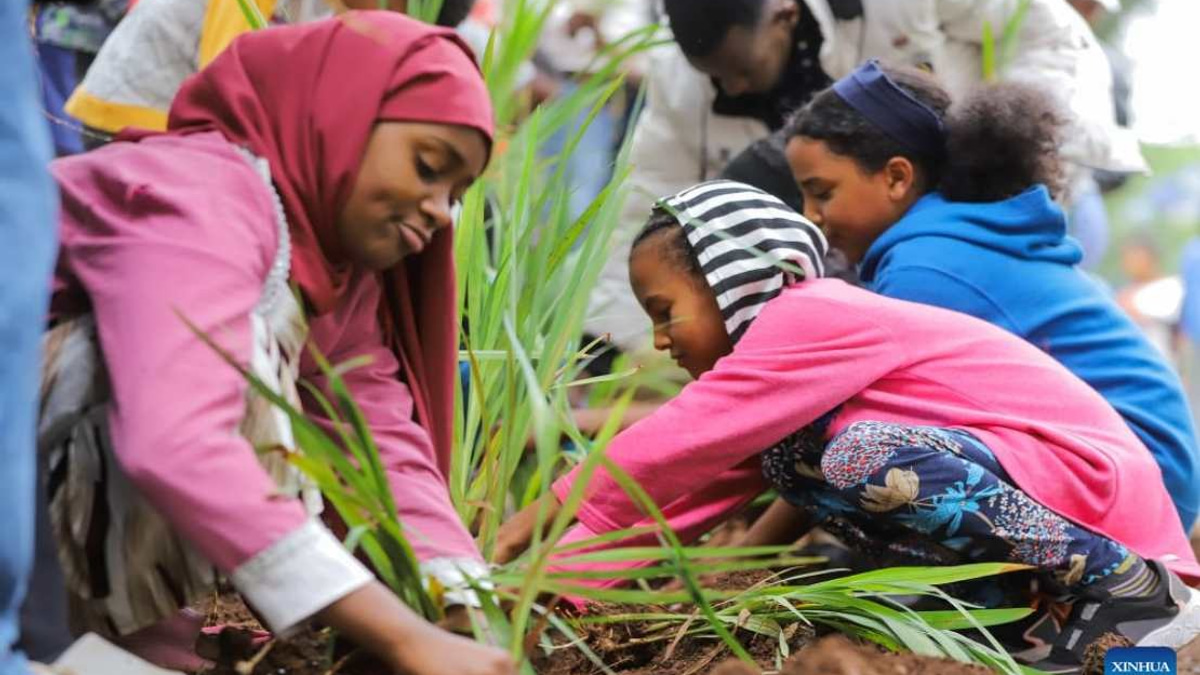 Ethiopia Plants 800 Million Trees in Single Day as Part of Ambitious Green Legacy Initiative