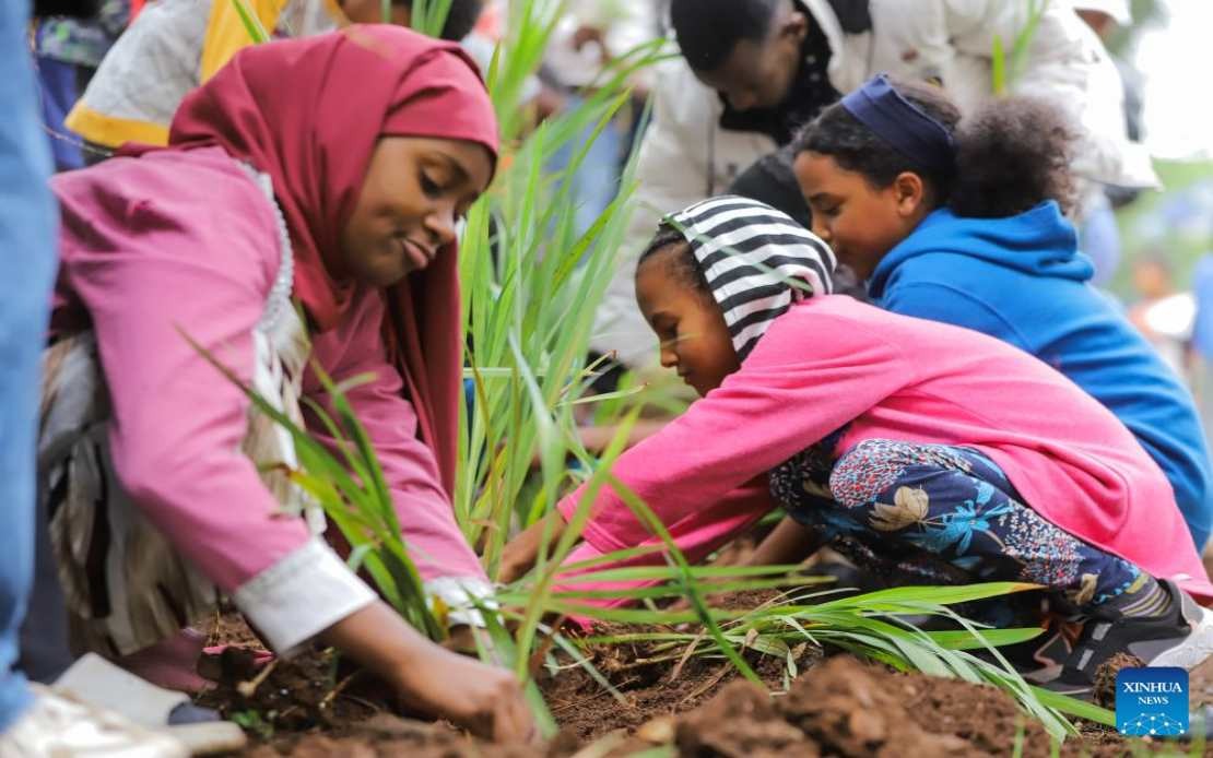 Ethiopia Plants 800 Million Trees in Single Day as Part of Ambitious Green Legacy Initiative