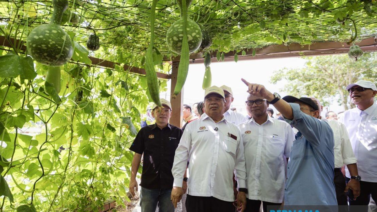 MAHA 2026 Takes Shape: 80% Complete, Opens Aug 28 with Focus on Agricultural Innovation