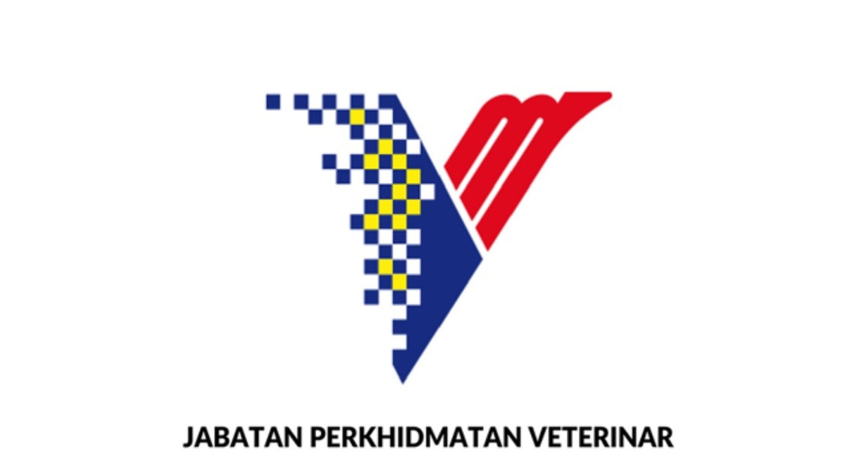 DVS Dismisses Claims of Involvement in Fraudulent Government Orders and Fake Supplies