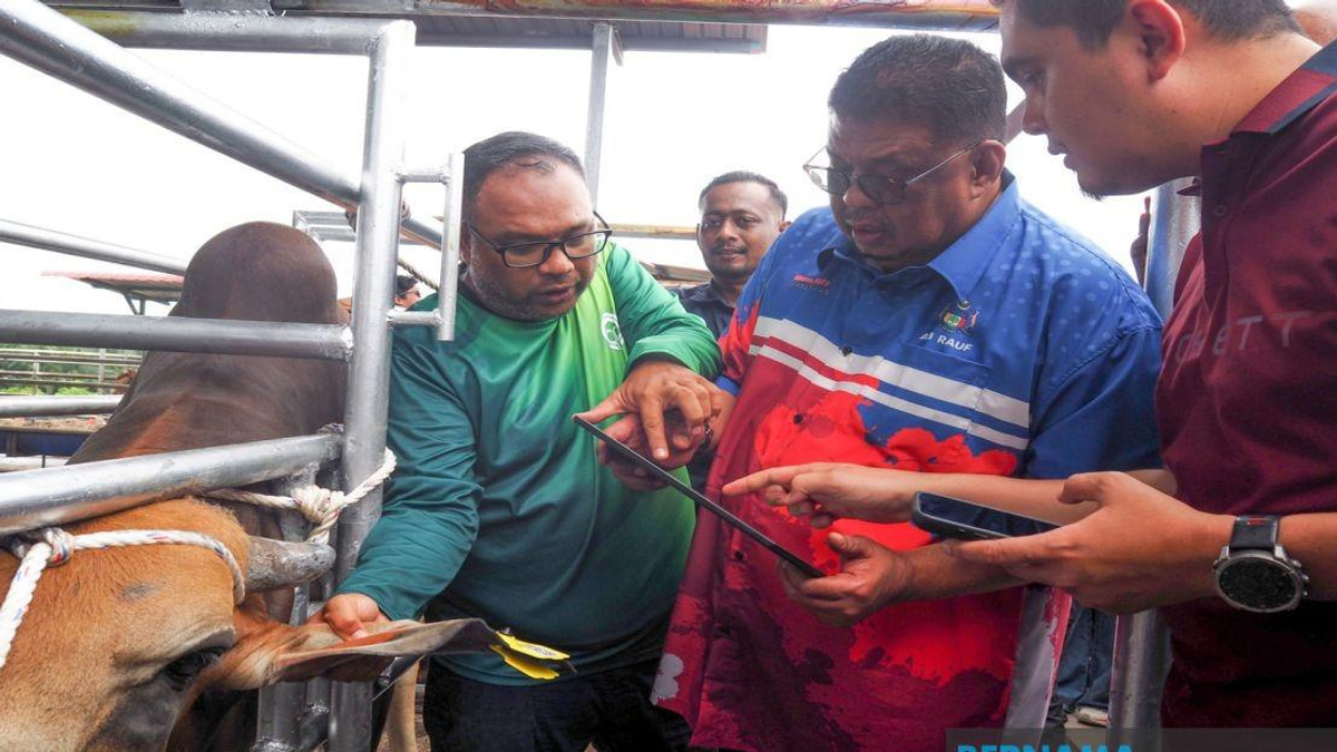 Melaka Rolls Out QR Tag System to Track Livestock and Boost Farmer Accountability