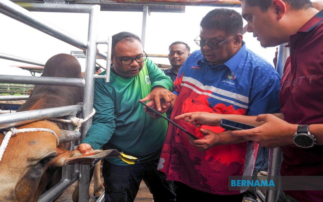 Melaka Rolls Out QR Tag System to Track Livestock and Boost Farmer Accountability