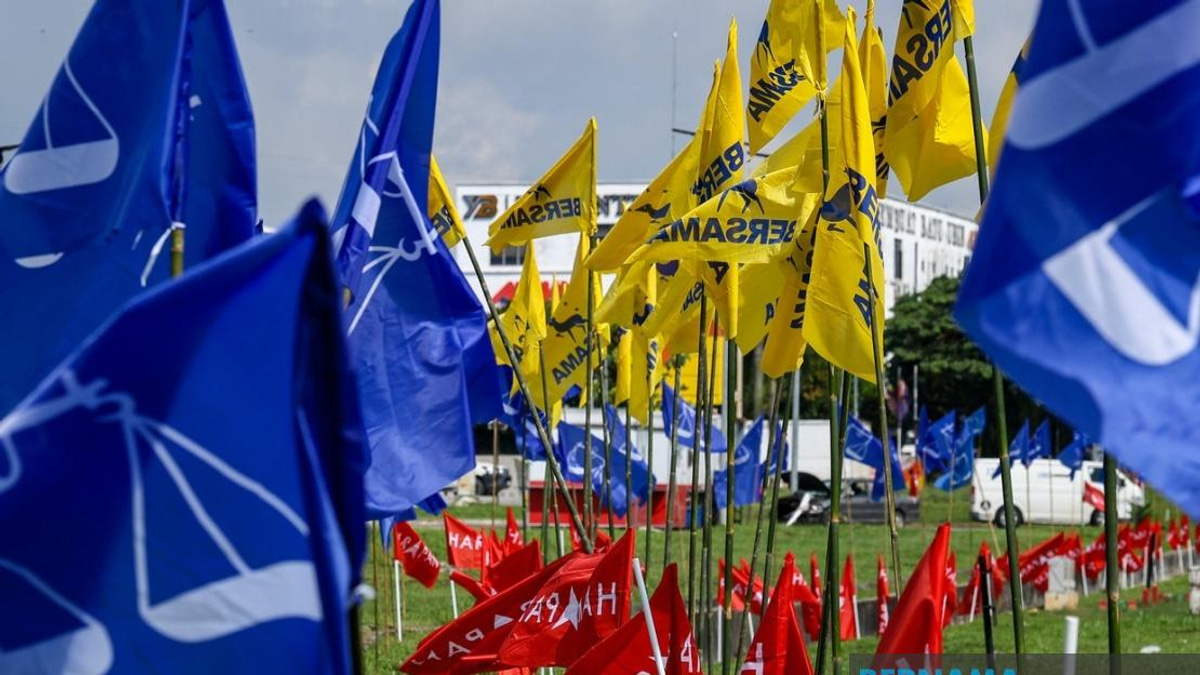 Johor's Benut Constituency Demands Digital Fix Ahead of July 11 Election