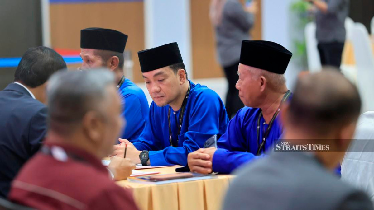 Johor's 56 nomination centres close as state election candidate filing deadline passes
