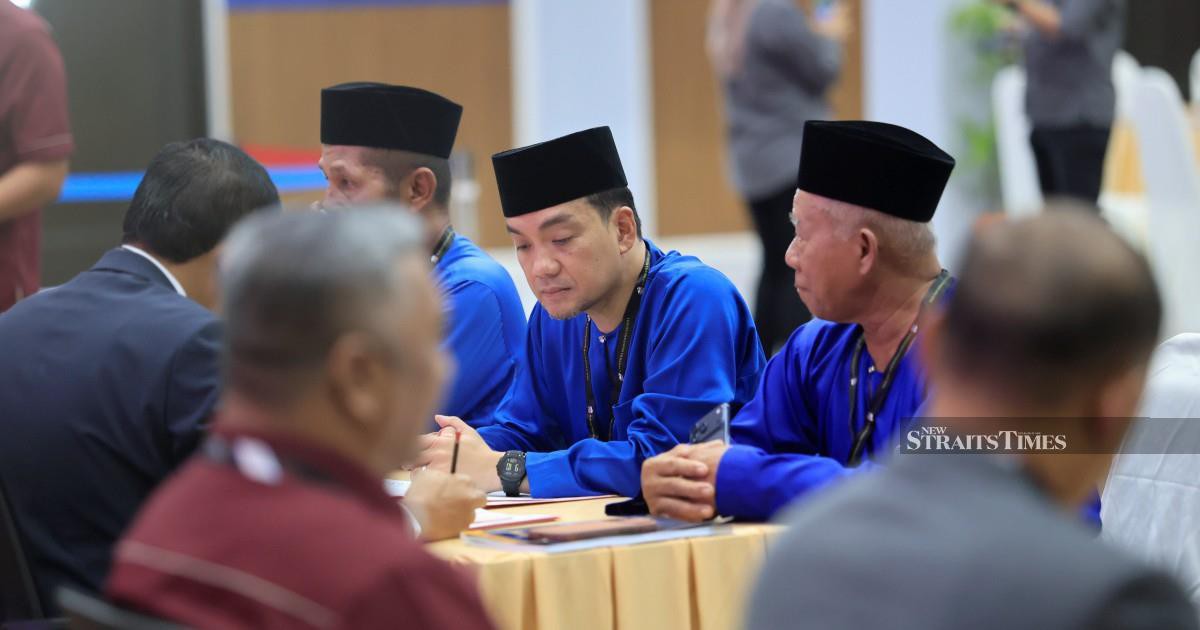 Johor's 56 nomination centres close as state election candidate filing deadline passes